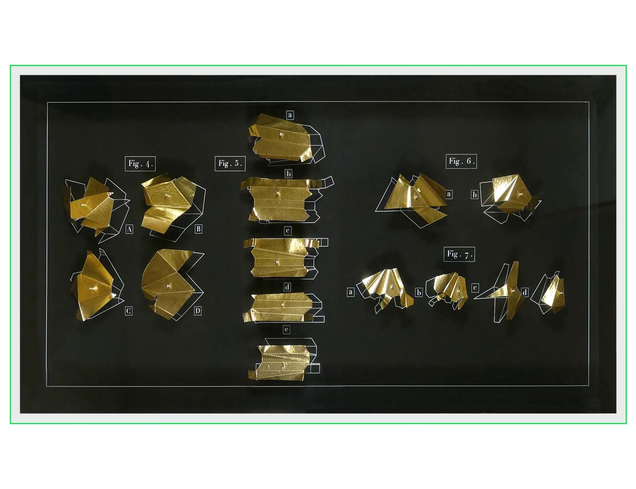 LA BOÎTE D’ENTOMOLOGISTE